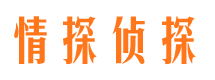 温岭市调查公司